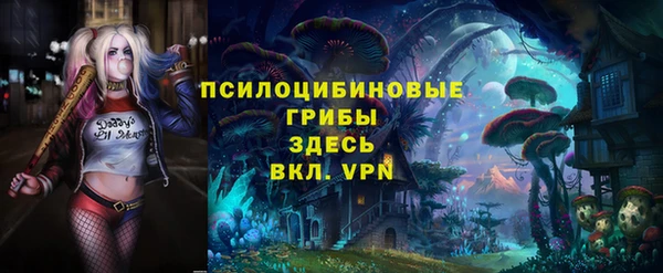 тгк Нижний Тагил