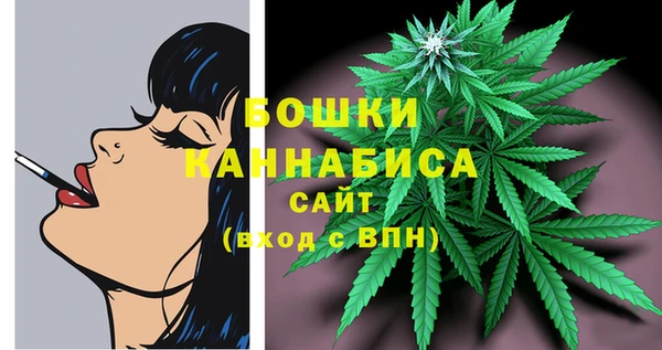экстази Краснослободск
