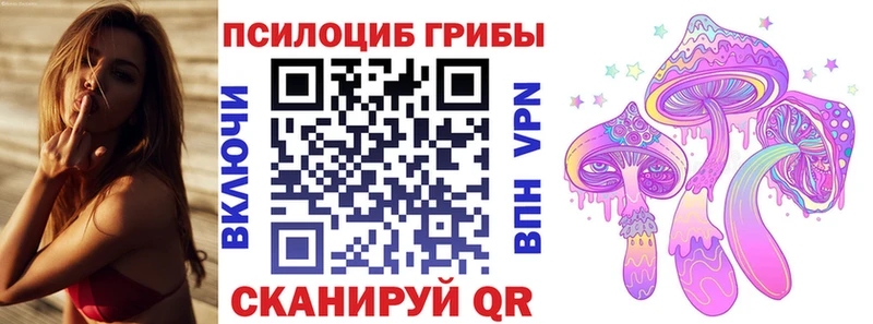 Галлюциногенные грибы Magic Shrooms  закладка  Мариинский Посад 